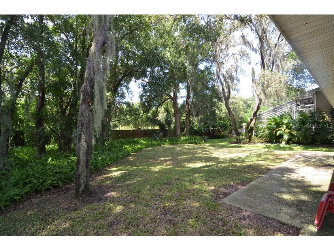 2228 Mountain Spruce Street Ocoee FL 34761 S5133276 image71