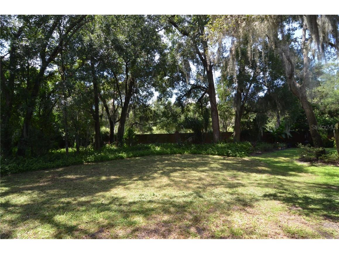 2228 Mountain Spruce Street Ocoee FL 34761 S5133276 image73