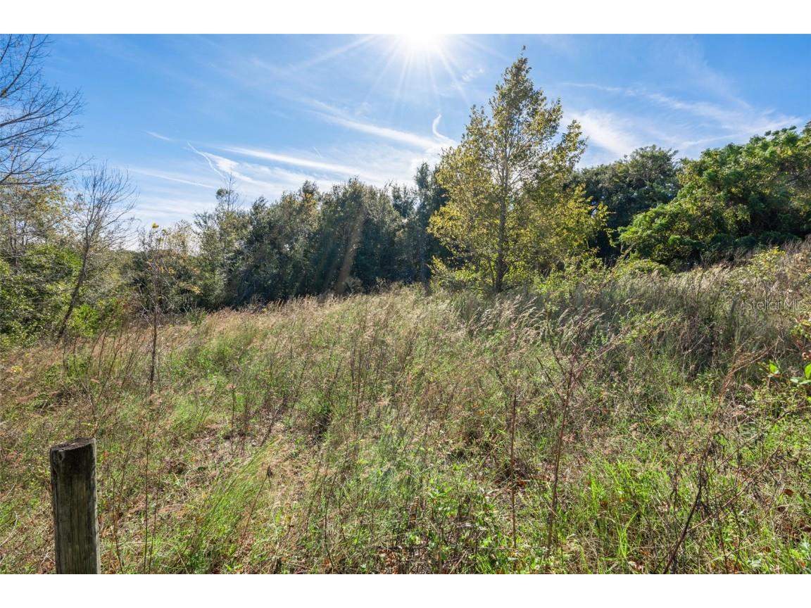 2228 Vick Road Apopka FL 32712 O6355696 image13