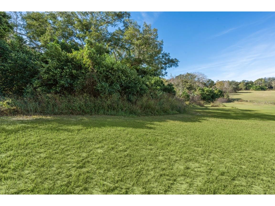 2228 Vick Road Apopka FL 32712 O6355696 image23