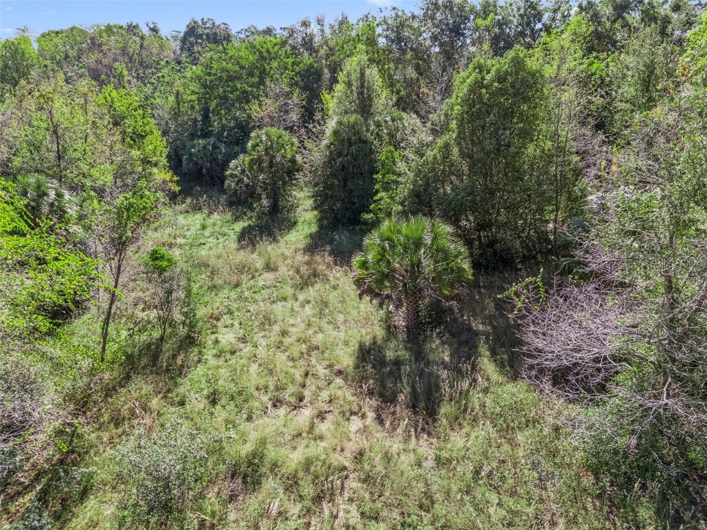 2228 Vick Road Apopka FL 32712 O6355696 image24