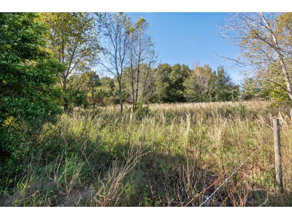 2228 Vick Road Apopka FL 32712 O6355696 image25