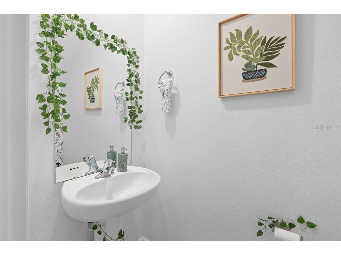 22289 Nebula Way Land O Lakes FL 34637 TB8433815 image15