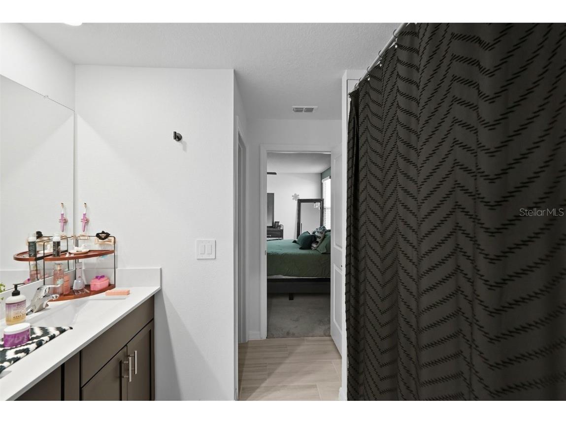 22289 Nebula Way Land O Lakes FL 34637 TB8433815 image22