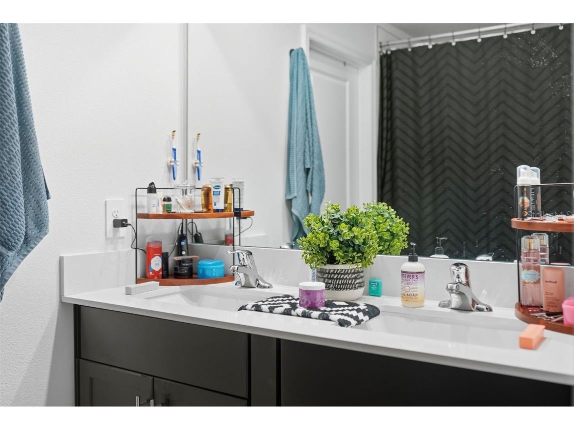 22289 Nebula Way Land O Lakes FL 34637 TB8433815 image23