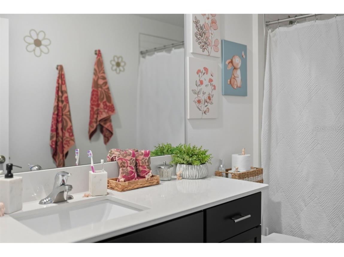 22289 Nebula Way Land O Lakes FL 34637 TB8433815 image32