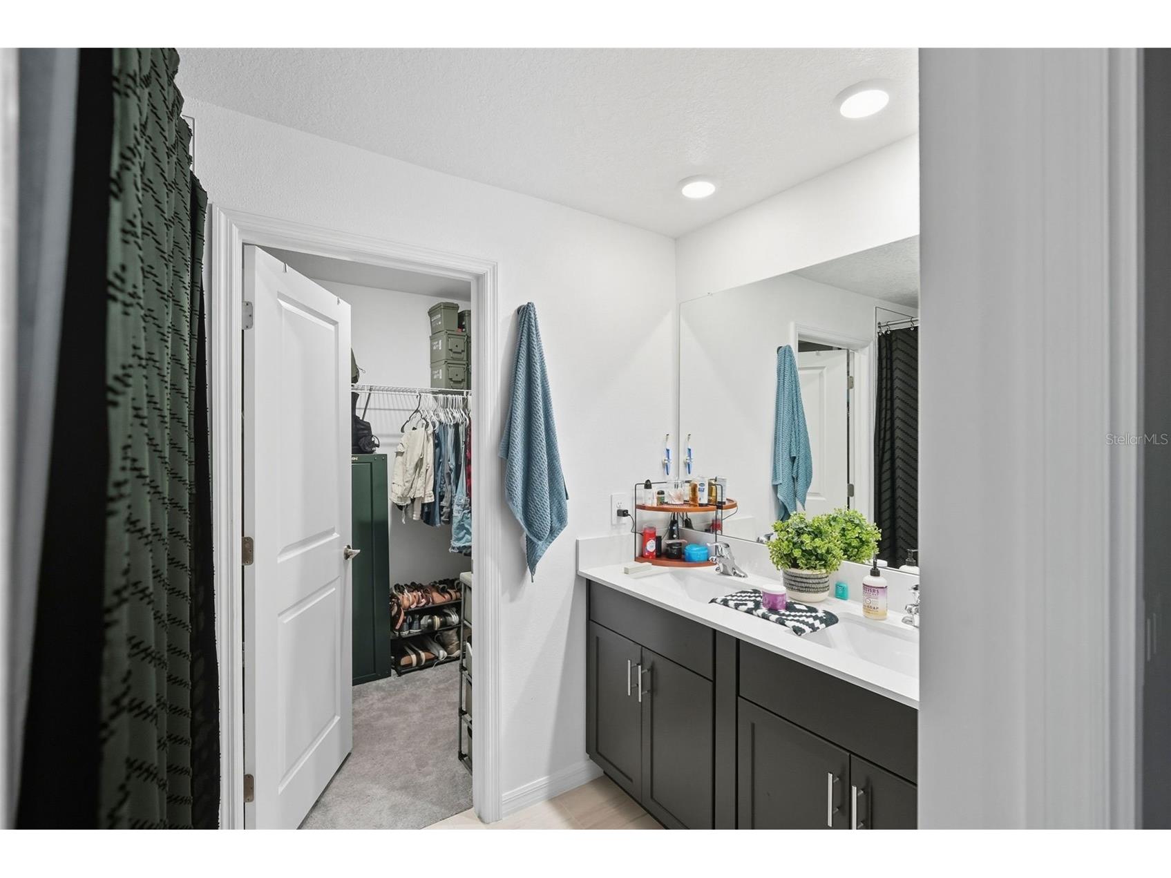 22289 Nebula Way Land O Lakes FL 34637 TB8509706 image19