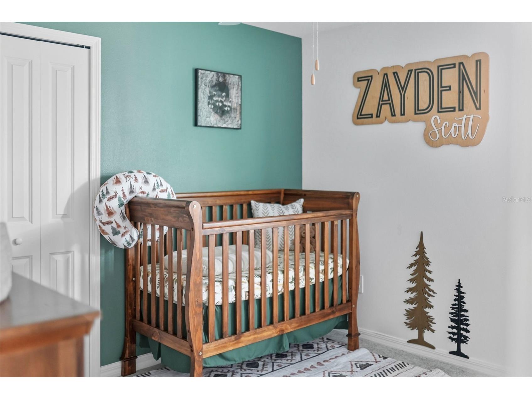 22289 Nebula Way Land O Lakes FL 34637 TB8509706 image27