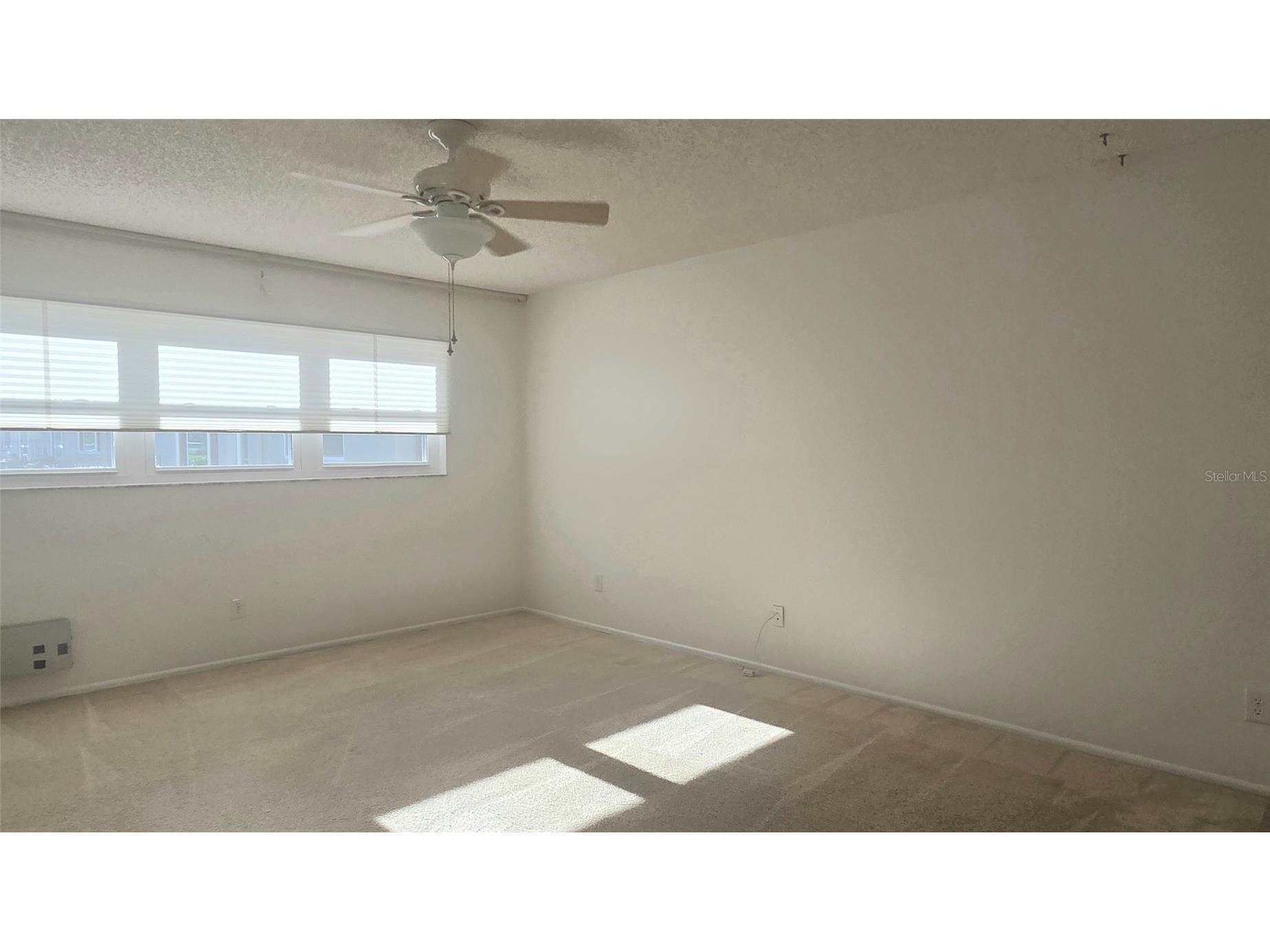 2229 Americus Boulevard W #7 Clearwater FL 33763 TB8465073 image12