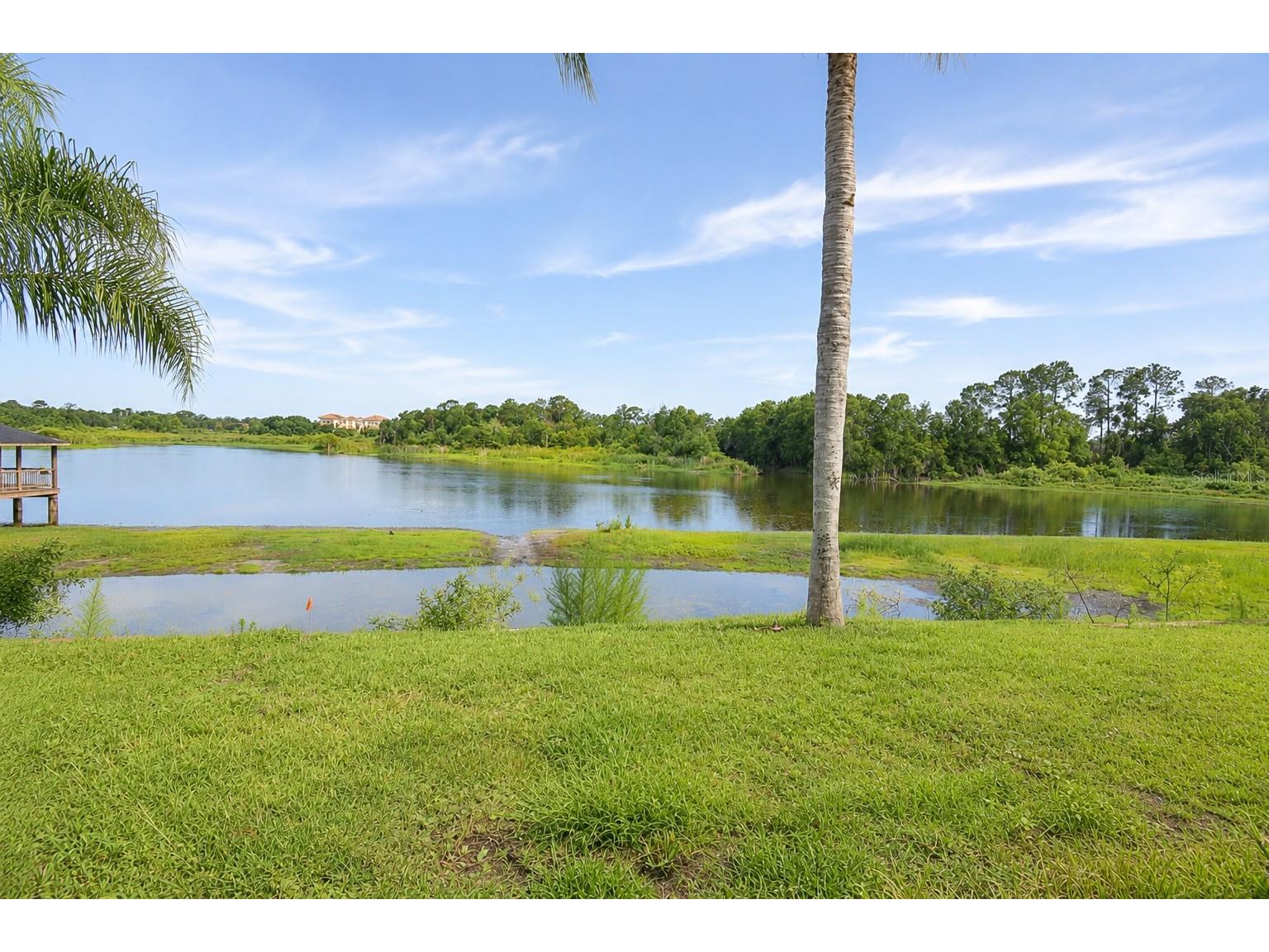 2229 Foggy Ridge Parkway Land O Lakes FL 34639 TB8527178 image26