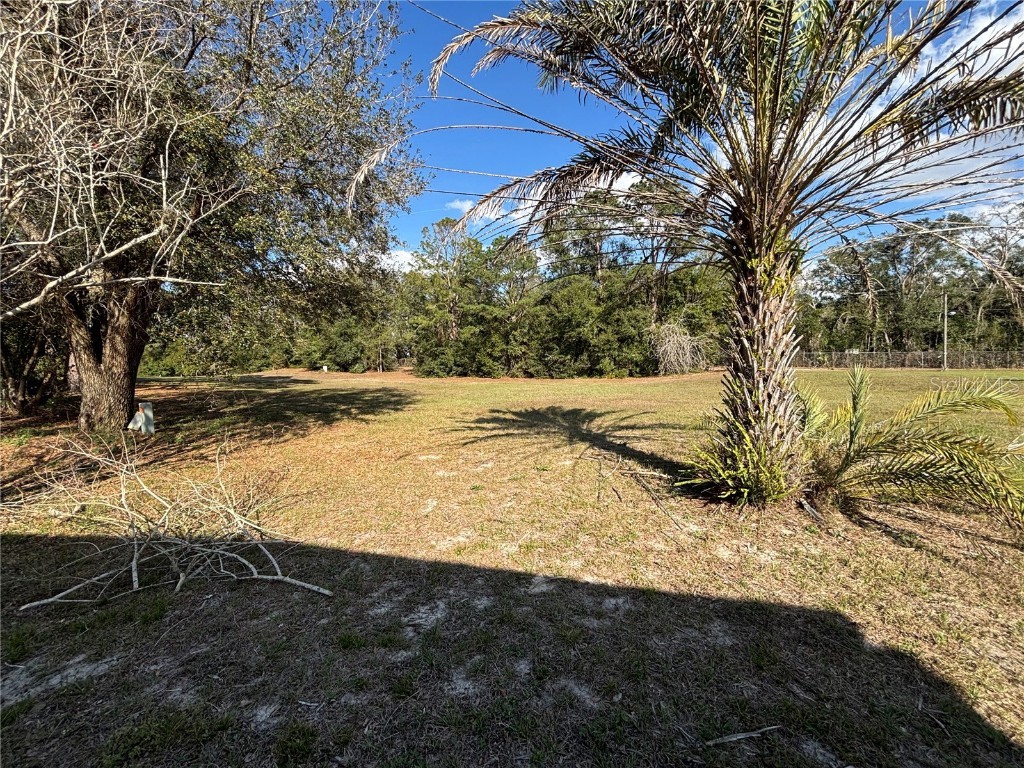 2229 S Citrus Circle #1385 Zellwood FL 32798 - LAKE COHEN AND LAKE GRASSMERE O6280380 image19