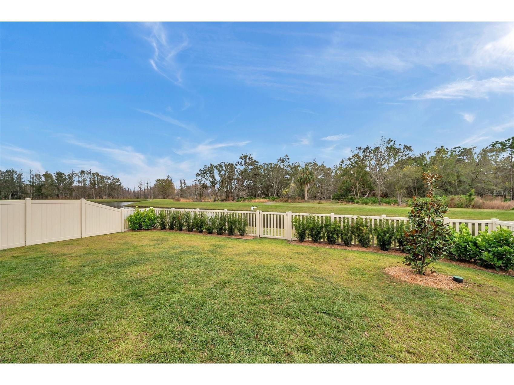 22294 Storybook Cabin Way Land O Lakes FL 34637 TB8503857 image81