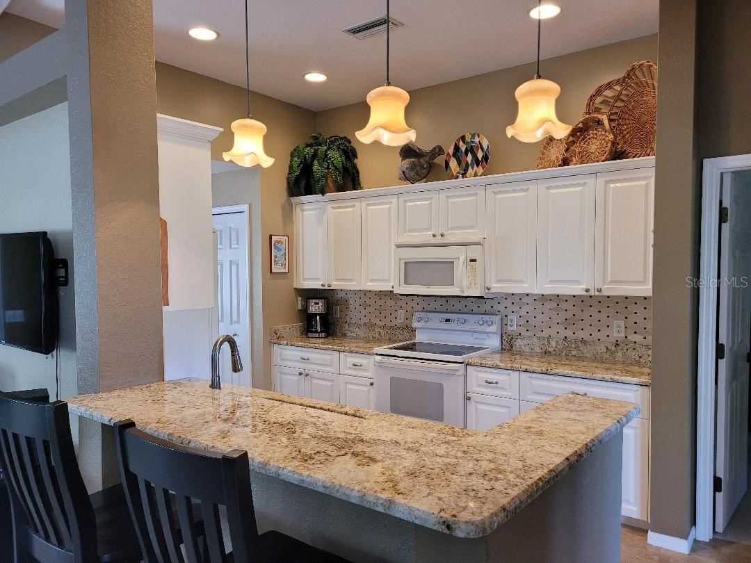 223 Big Pine Lane Punta Gorda FL 33955 C7520682 image8