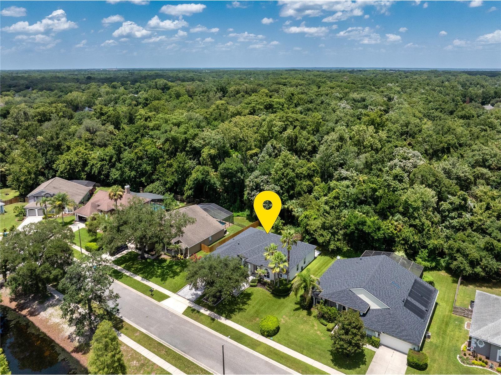 223 Blue Creek Drive Winter Springs FL 32708 O6427702 image3