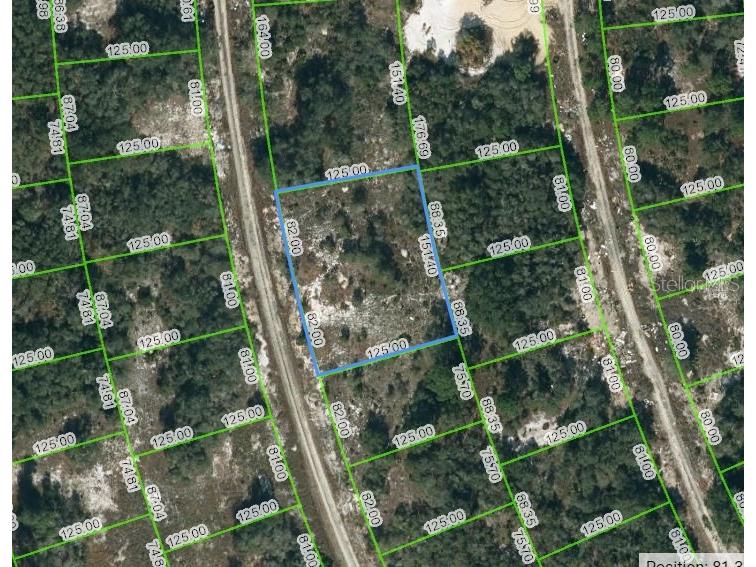 223 Blue Sky Drive Lake Placid FL 33852 OM623446 image1