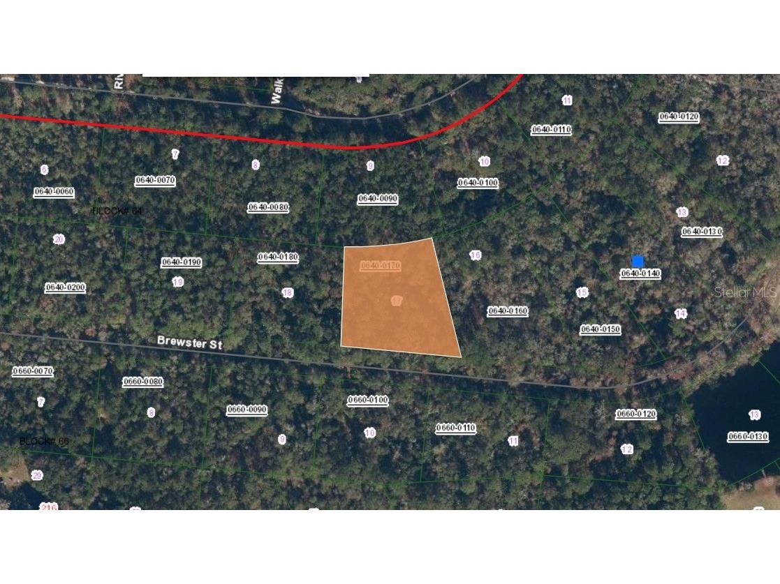 223 Brewster Street Satsuma FL 32189 FC302709 image1