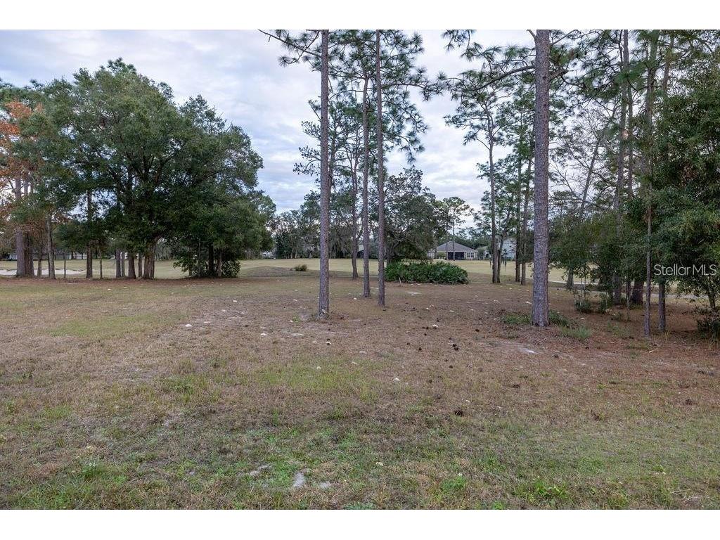 223 Cherokee Hill Court Deland FL 32724 O6364277 image29