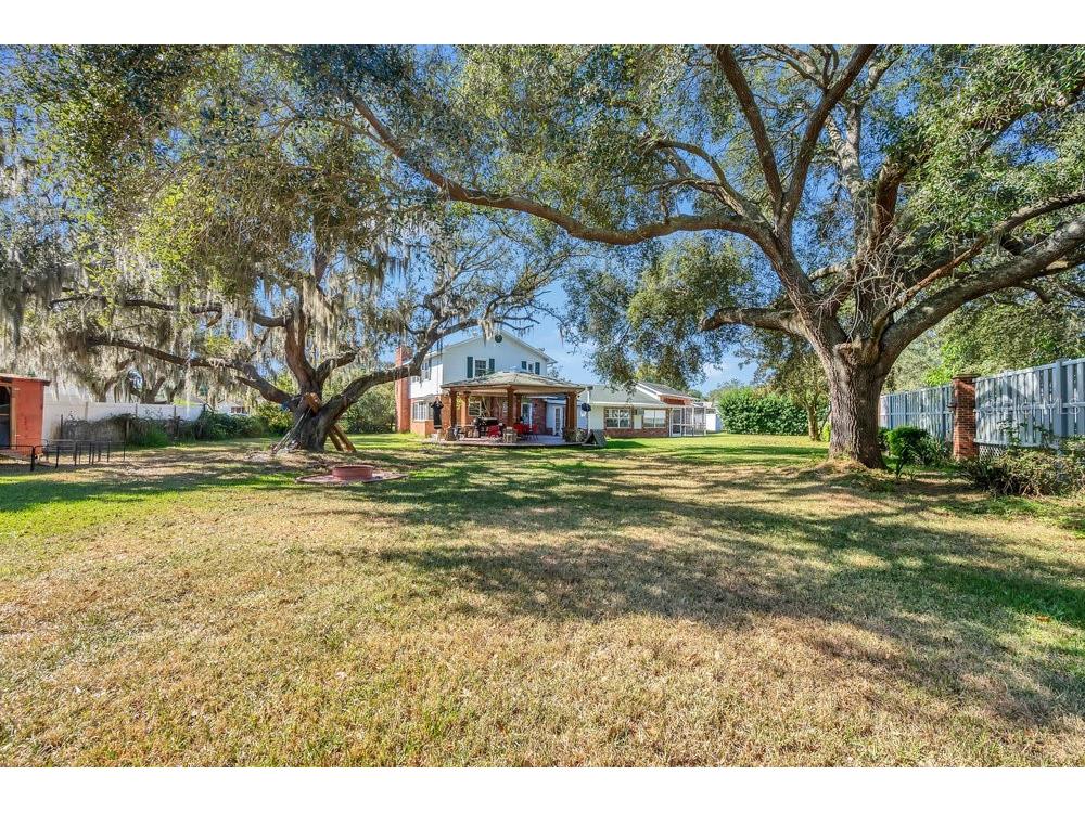 223 Denese Lane Auburndale FL 33823 O6372591 image37