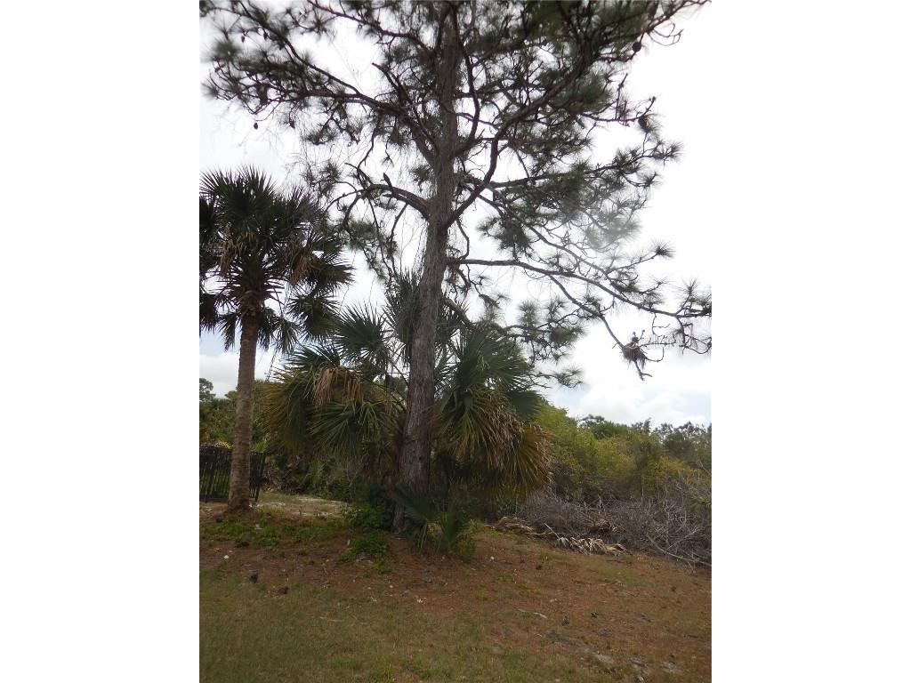 223 Jennifer Drive Rotonda West FL 33947 D6144484 image3