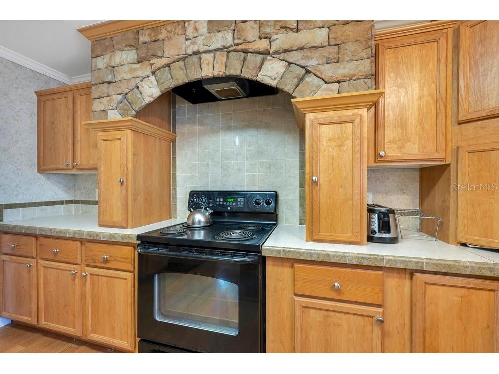 223 Martin Drive Lakeland FL 33809 L4957134 image13