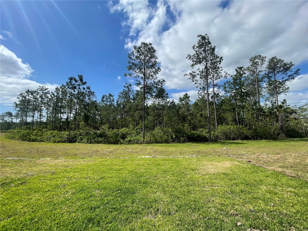 223 Montgomery Court Palm Coast FL 32164 FC309407 image20