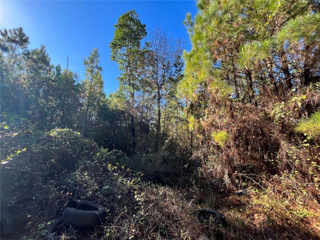 223 Mourning Dove Road Satsuma FL 32189 OK225302 image1