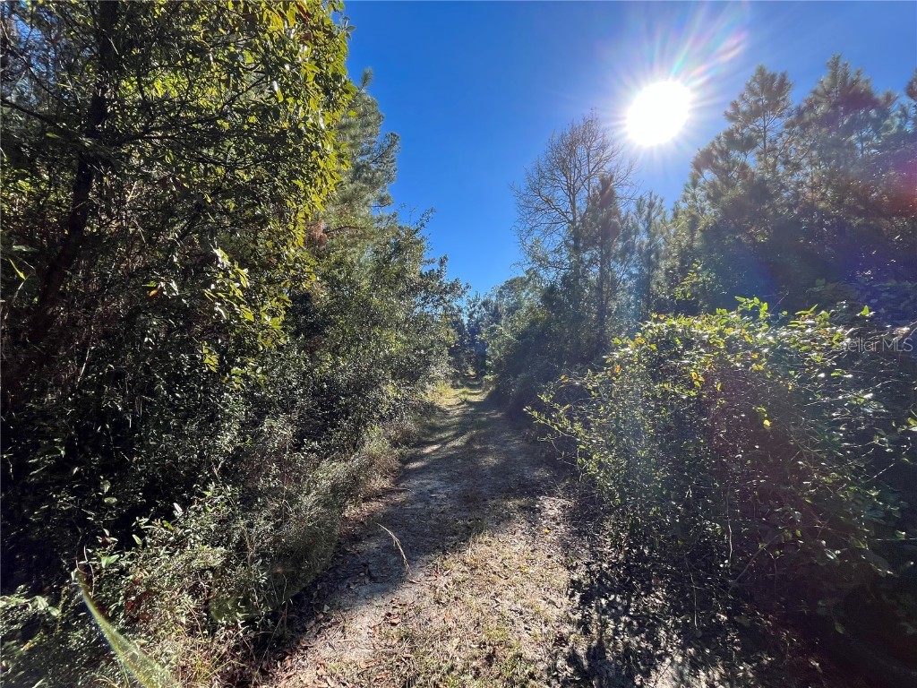 223 Mourning Dove Road Satsuma FL 32189 OK225302 image2