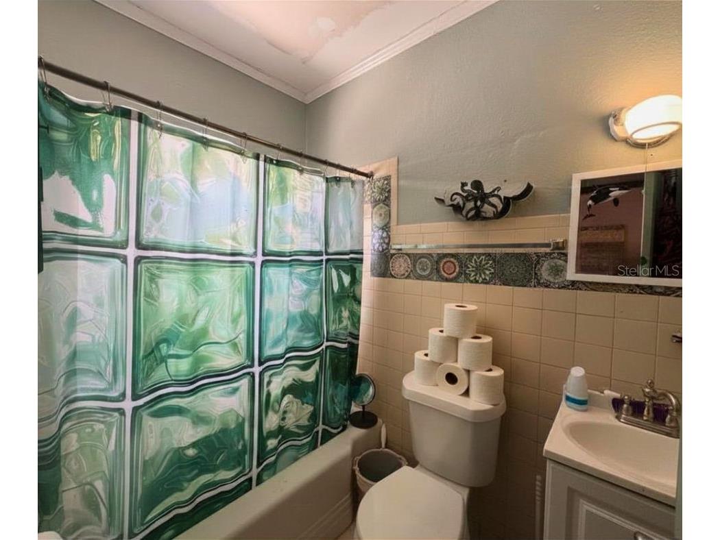 223 N Monroe Avenue Arcadia FL 34266 A4689811 image39