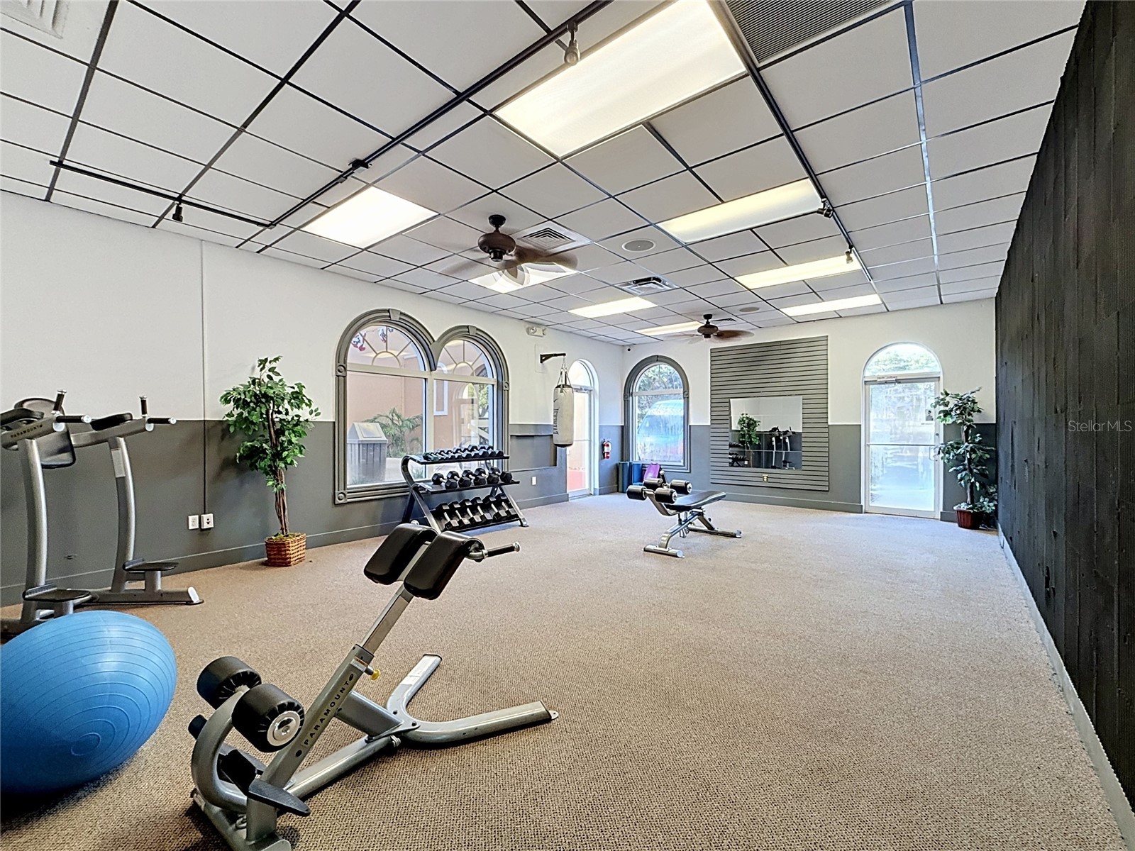 223 Napoli Drive Davenport FL 33897 S5145094 image26