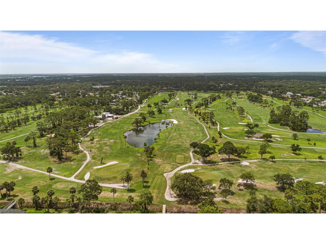 223 NE Golf Club Drive New Smyrna Beach FL 32168 NS1085070 image31