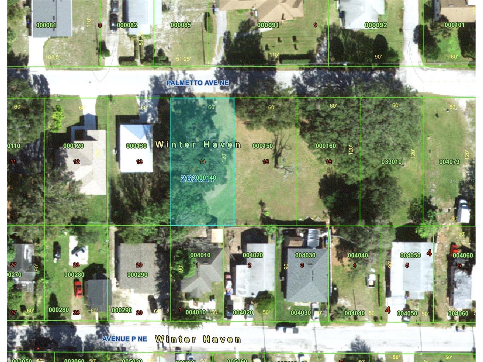 223 Palmetto Avenue NE Winter Haven FL 33881 P4938828 image13
