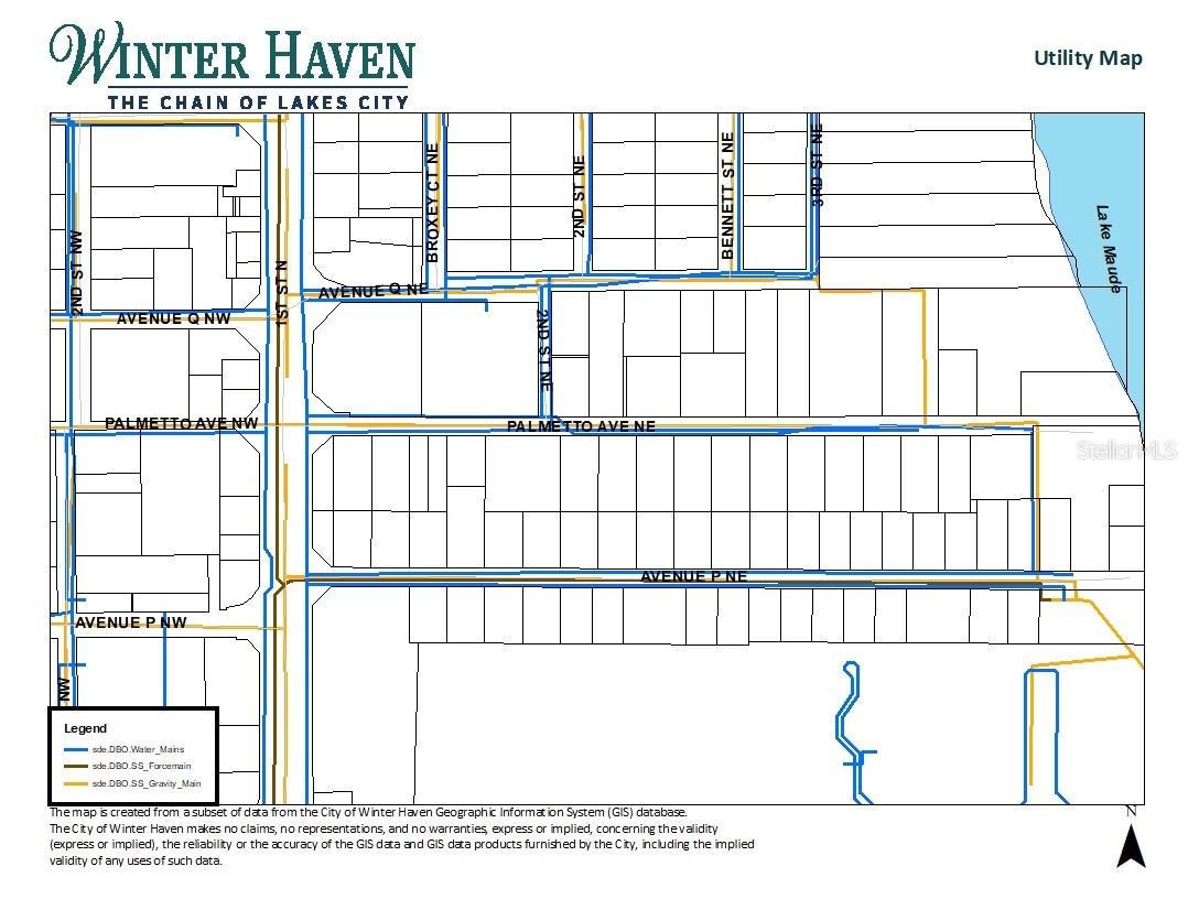223 Palmetto Avenue NE Winter Haven FL 33881 P4938828 image5