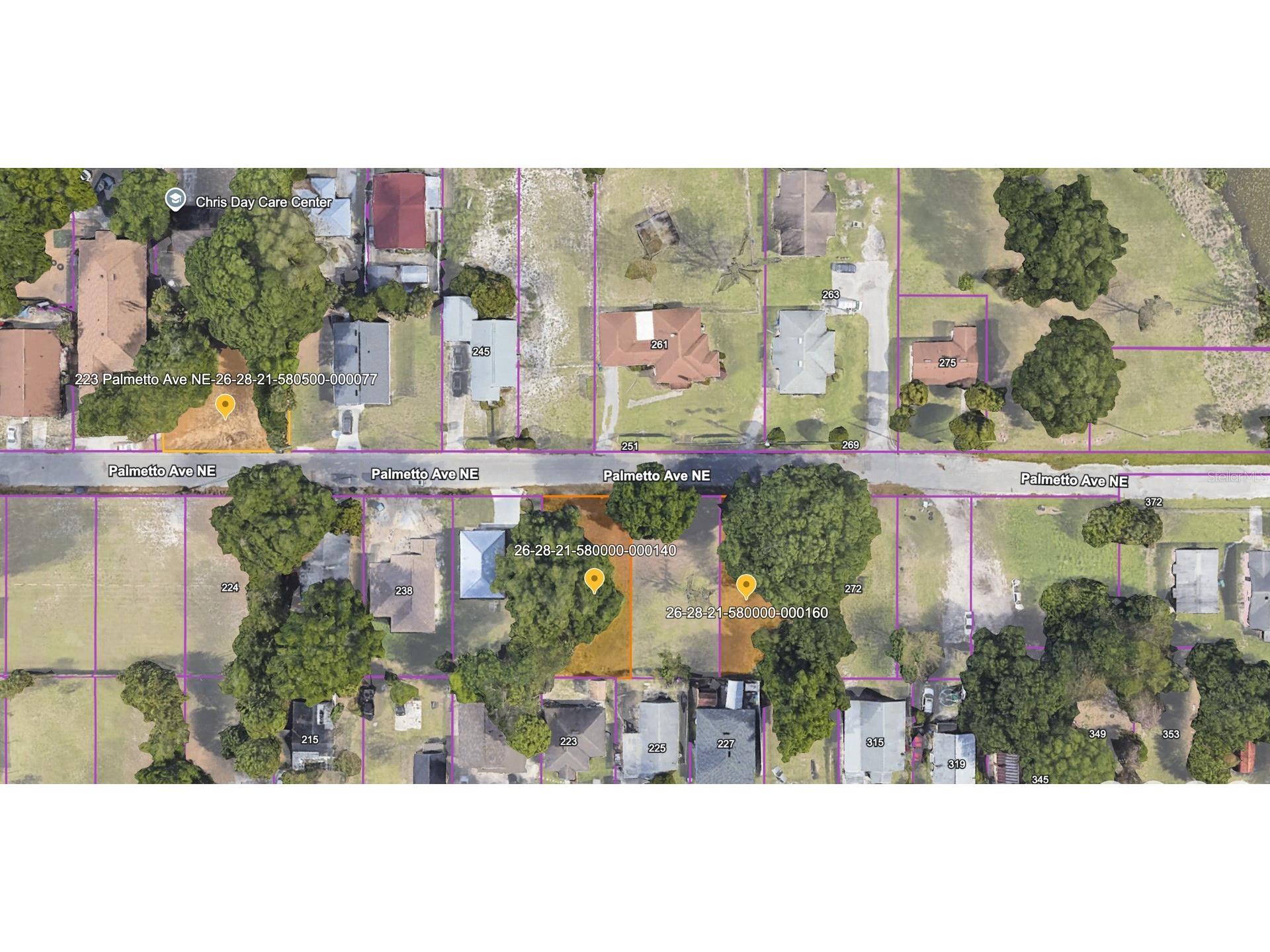 223 Palmetto Avenue NE Winter Haven FL 33881 P4938828 image7