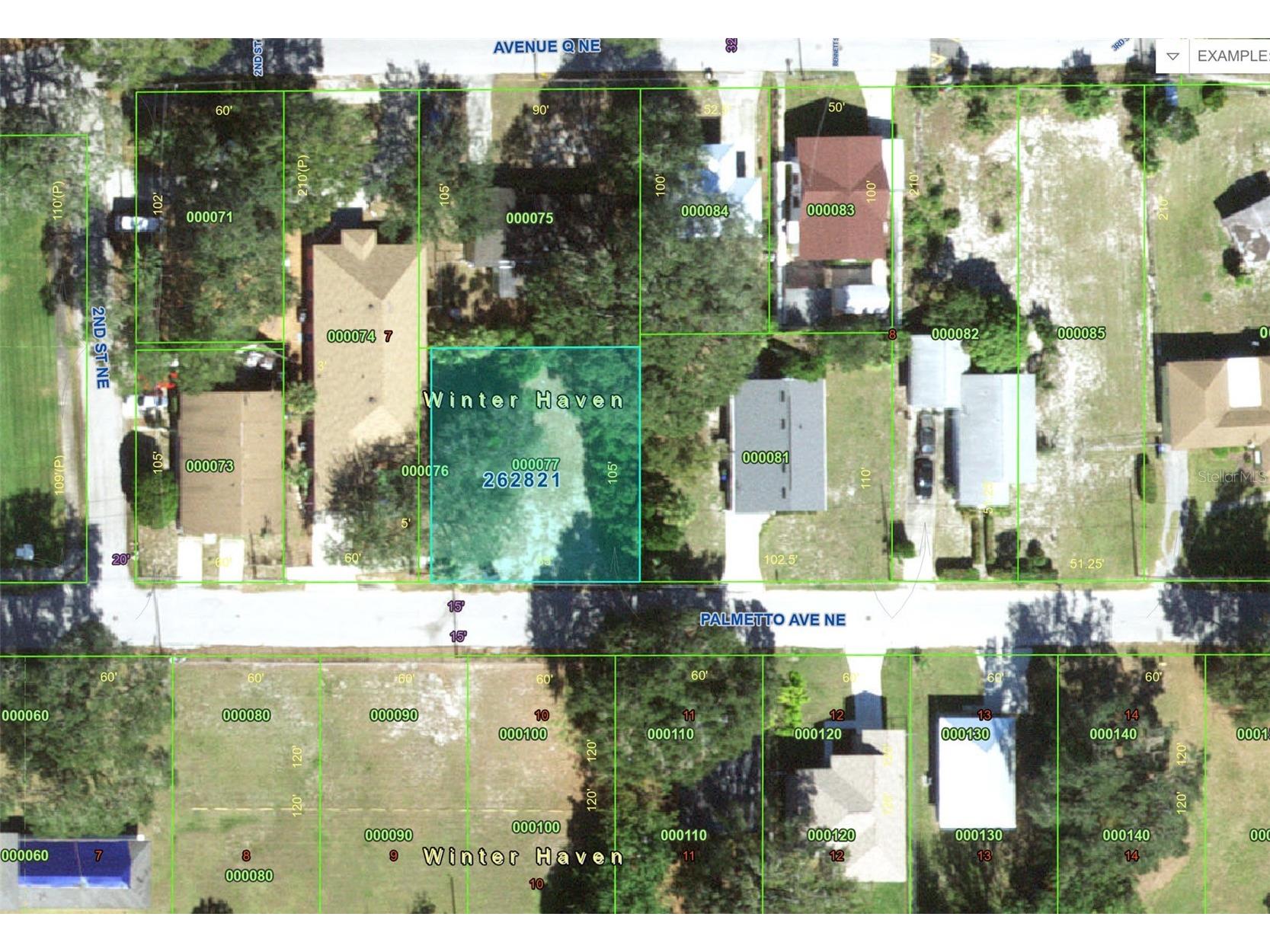 223 Palmetto Avenue NE Winter Haven FL 33881 P4938828 image9