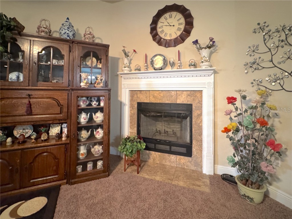 223 Paradise Palm Circle Crestview FL 32536 TB8406029 image5