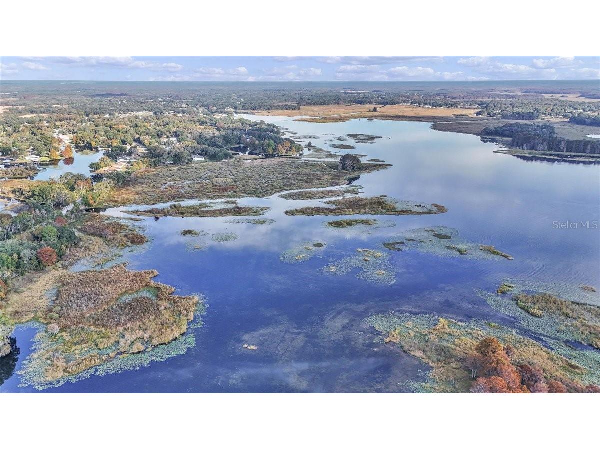 223 S Nesbitt Terrace Inverness FL 34450 - TSALA APOPKA CHAIN OF LAKES OM714065 image10