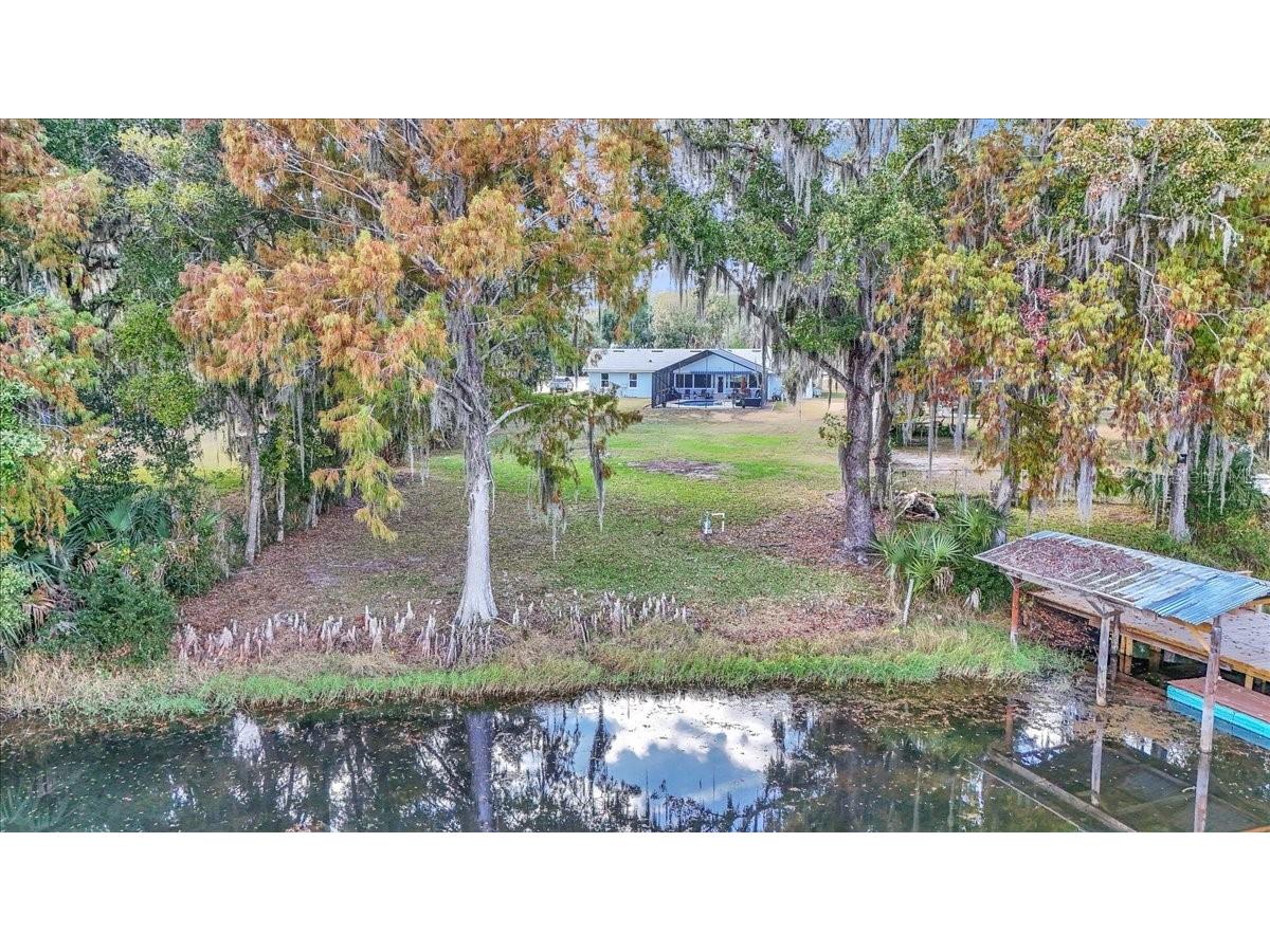 223 S Nesbitt Terrace Inverness FL 34450 - TSALA APOPKA CHAIN OF LAKES OM714065 image11