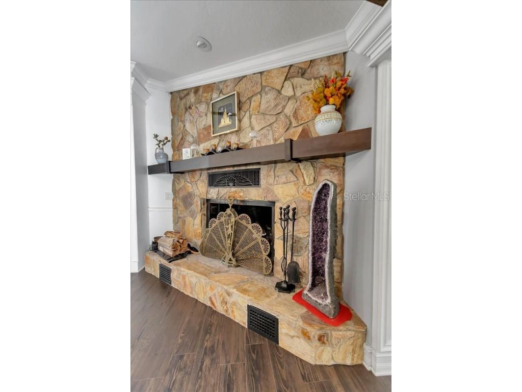 223 S Nesbitt Terrace Inverness FL 34450 - TSALA APOPKA CHAIN OF LAKES OM714065 image26