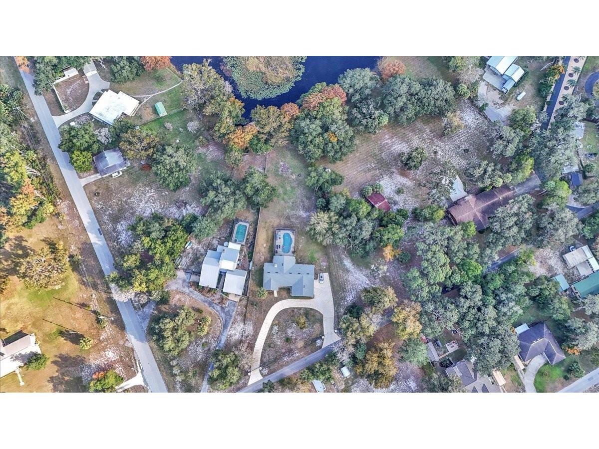 223 S Nesbitt Terrace Inverness FL 34450 - TSALA APOPKA CHAIN OF LAKES OM714065 image3