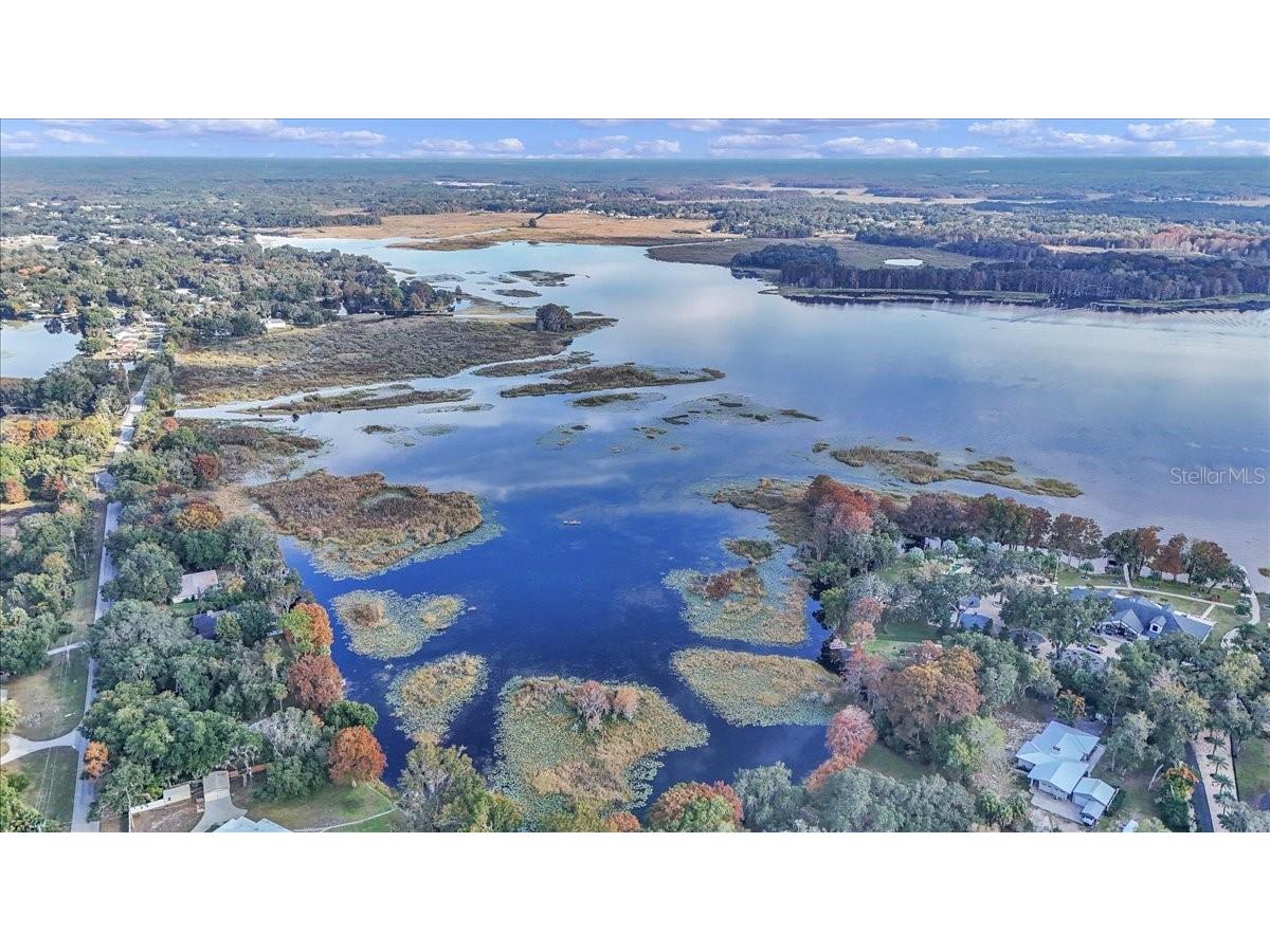 223 S Nesbitt Terrace Inverness FL 34450 - TSALA APOPKA CHAIN OF LAKES OM714065 image59