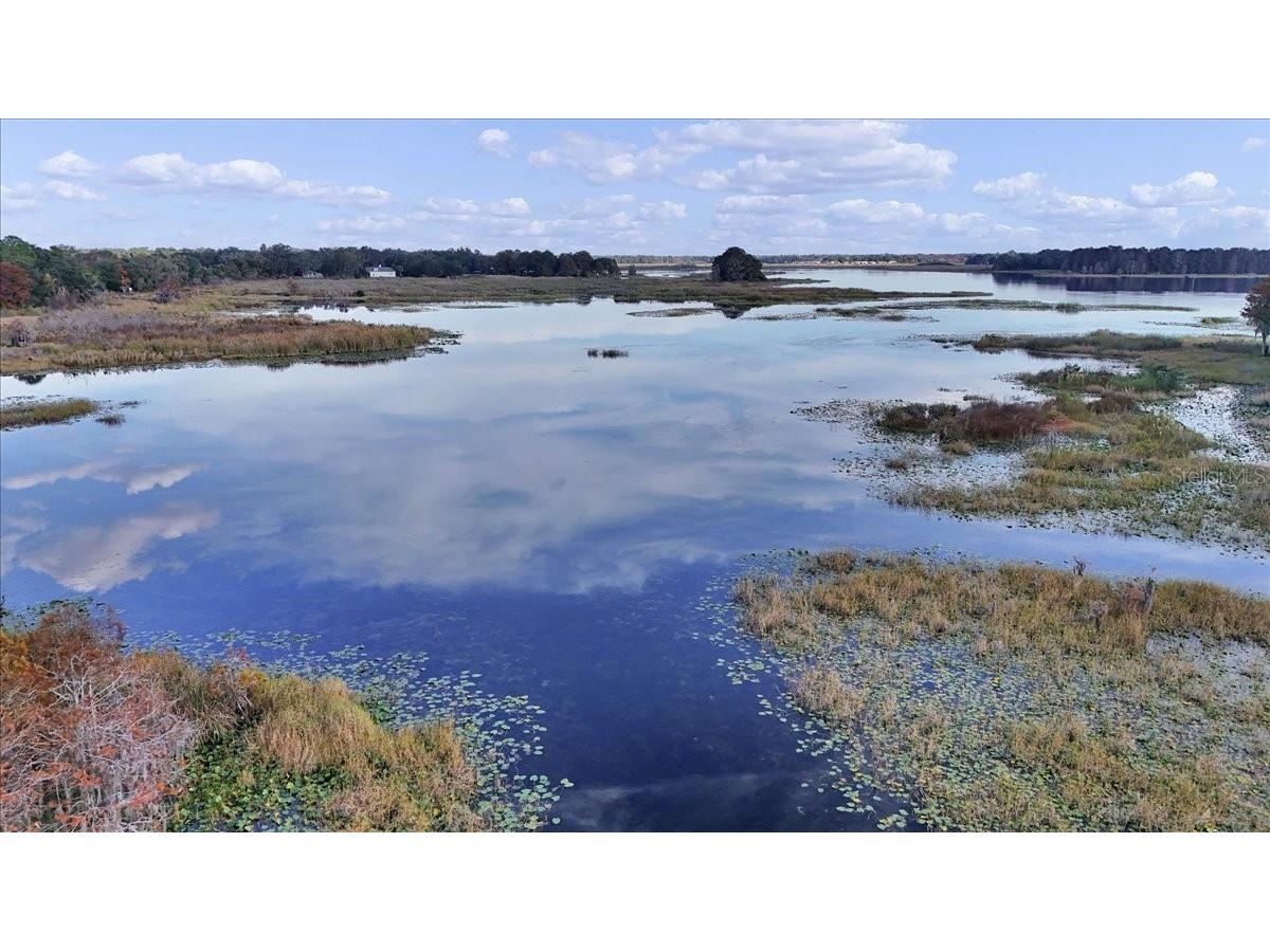 223 S Nesbitt Terrace Inverness FL 34450 - TSALA APOPKA CHAIN OF LAKES OM714065 image60