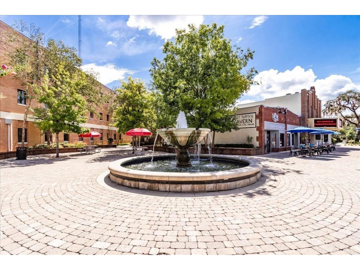 223 S Nesbitt Terrace Inverness FL 34450 - TSALA APOPKA CHAIN OF LAKES OM714065 image65