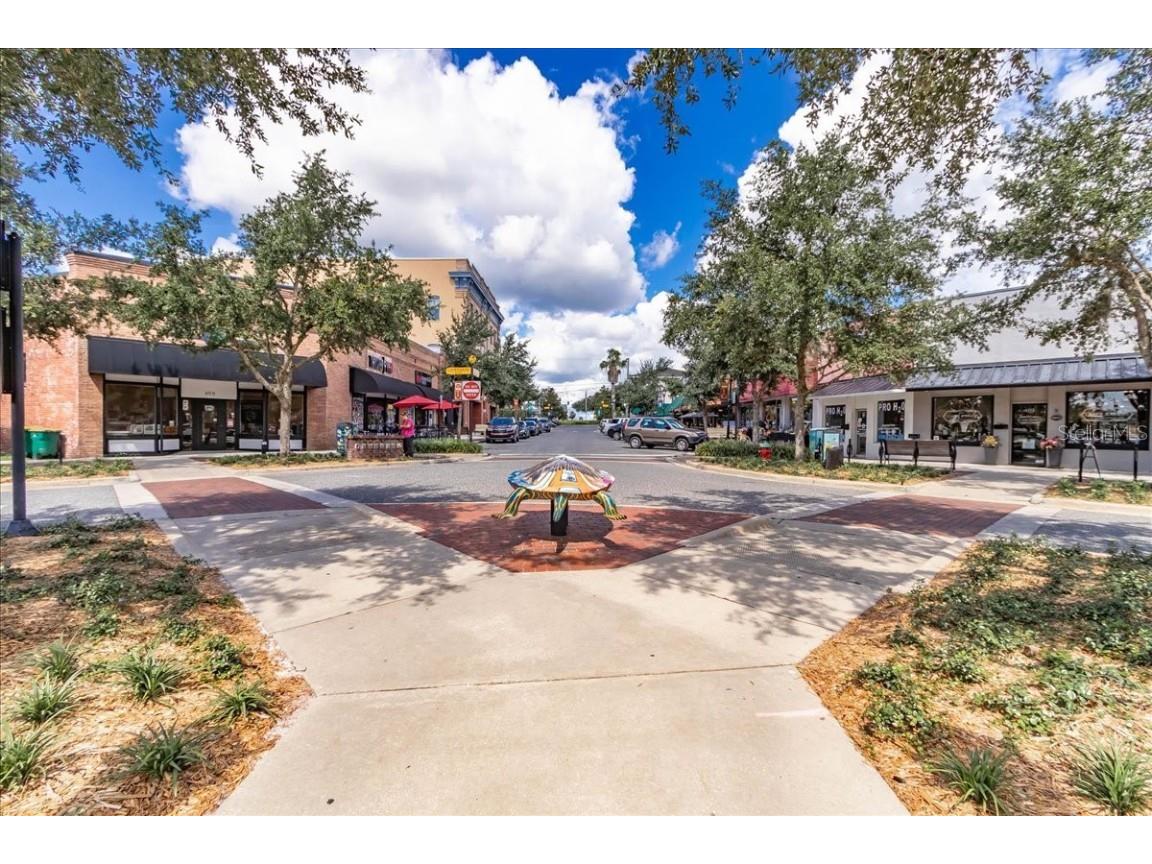 223 S Nesbitt Terrace Inverness FL 34450 - TSALA APOPKA CHAIN OF LAKES OM714065 image69