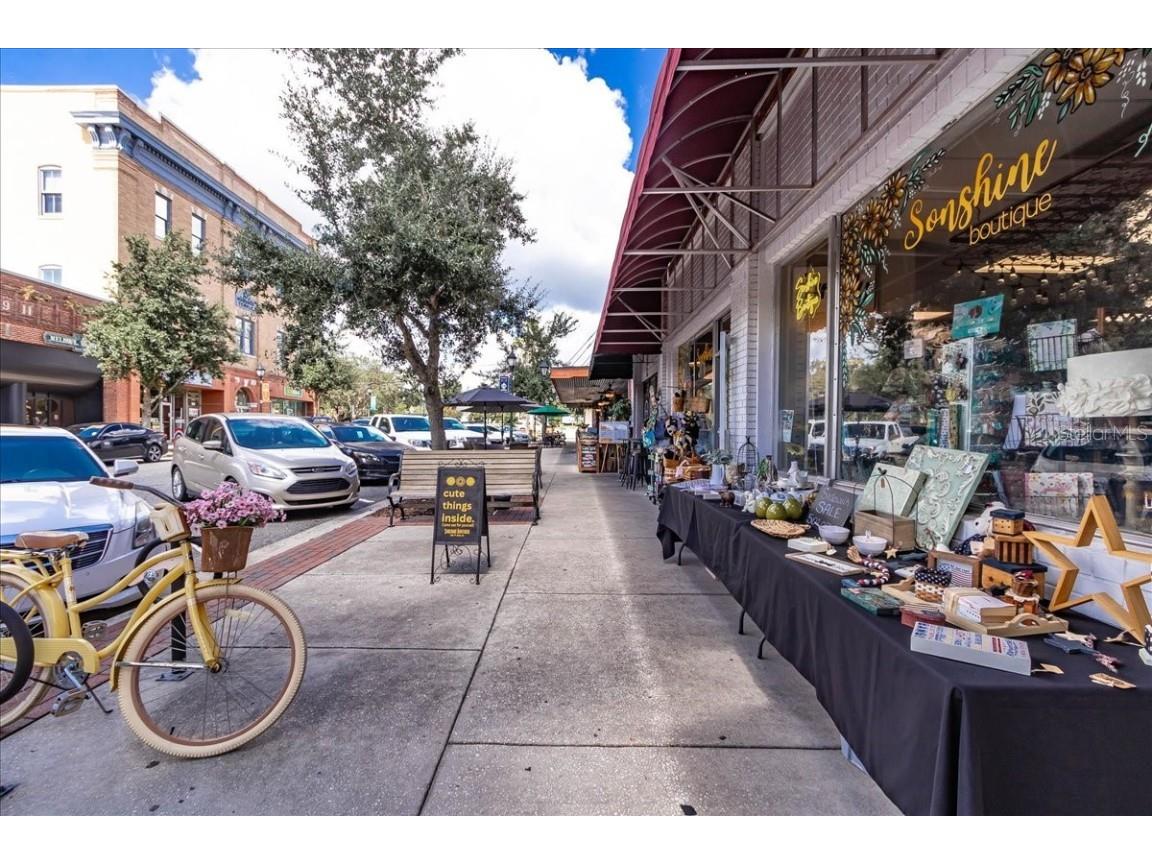 223 S Nesbitt Terrace Inverness FL 34450 - TSALA APOPKA CHAIN OF LAKES OM714065 image70