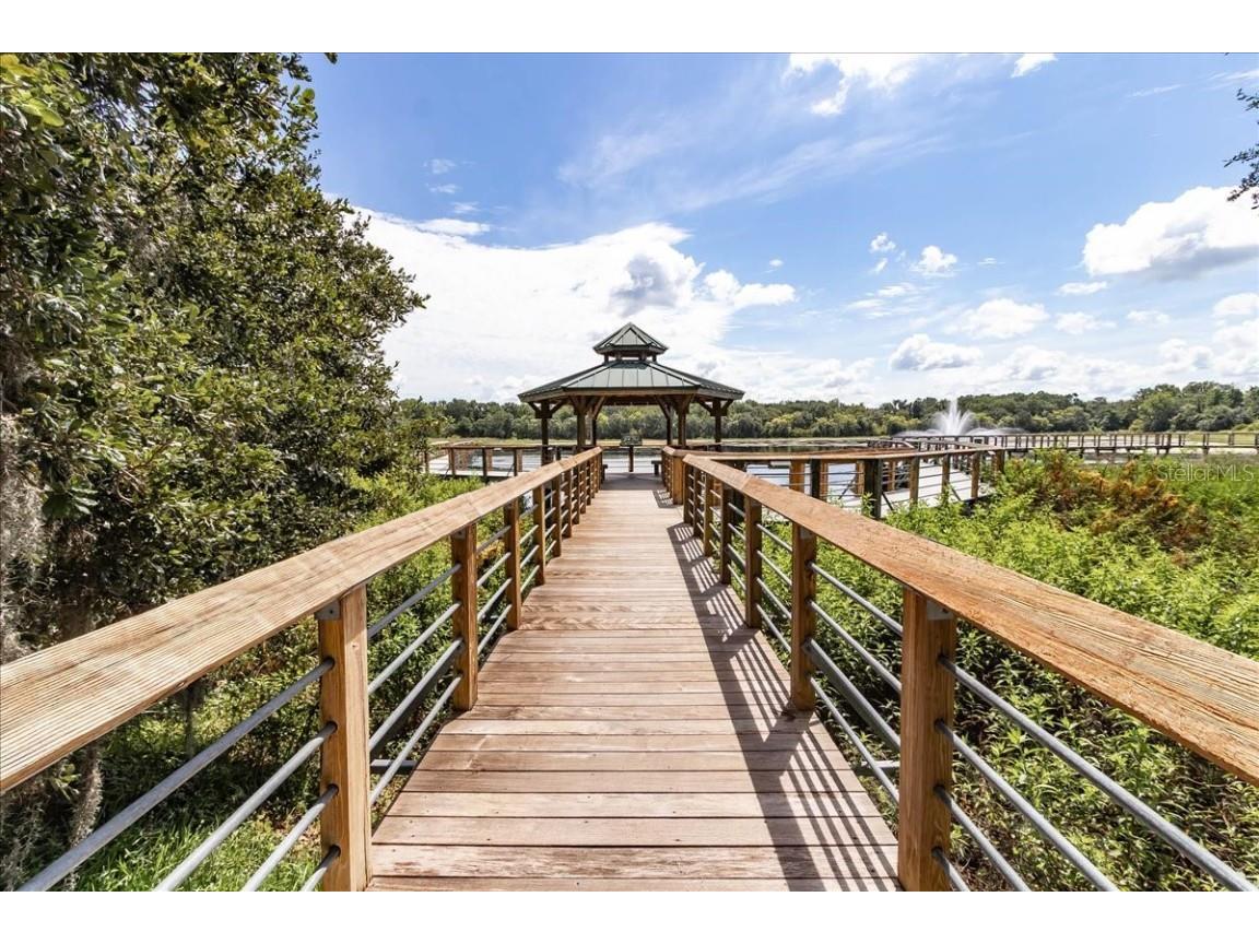 223 S Nesbitt Terrace Inverness FL 34450 - TSALA APOPKA CHAIN OF LAKES OM714065 image72