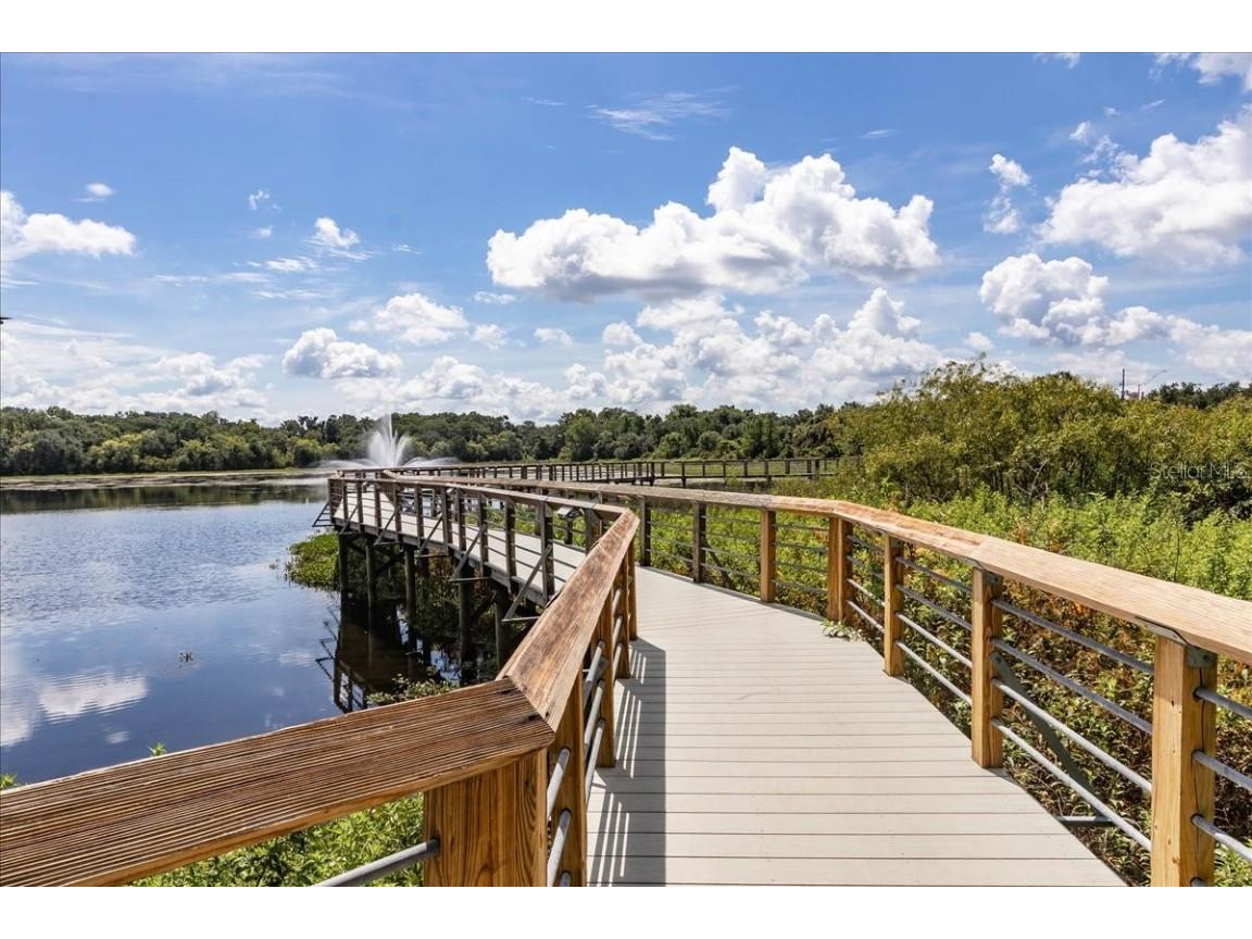 223 S Nesbitt Terrace Inverness FL 34450 - TSALA APOPKA CHAIN OF LAKES OM714065 image73