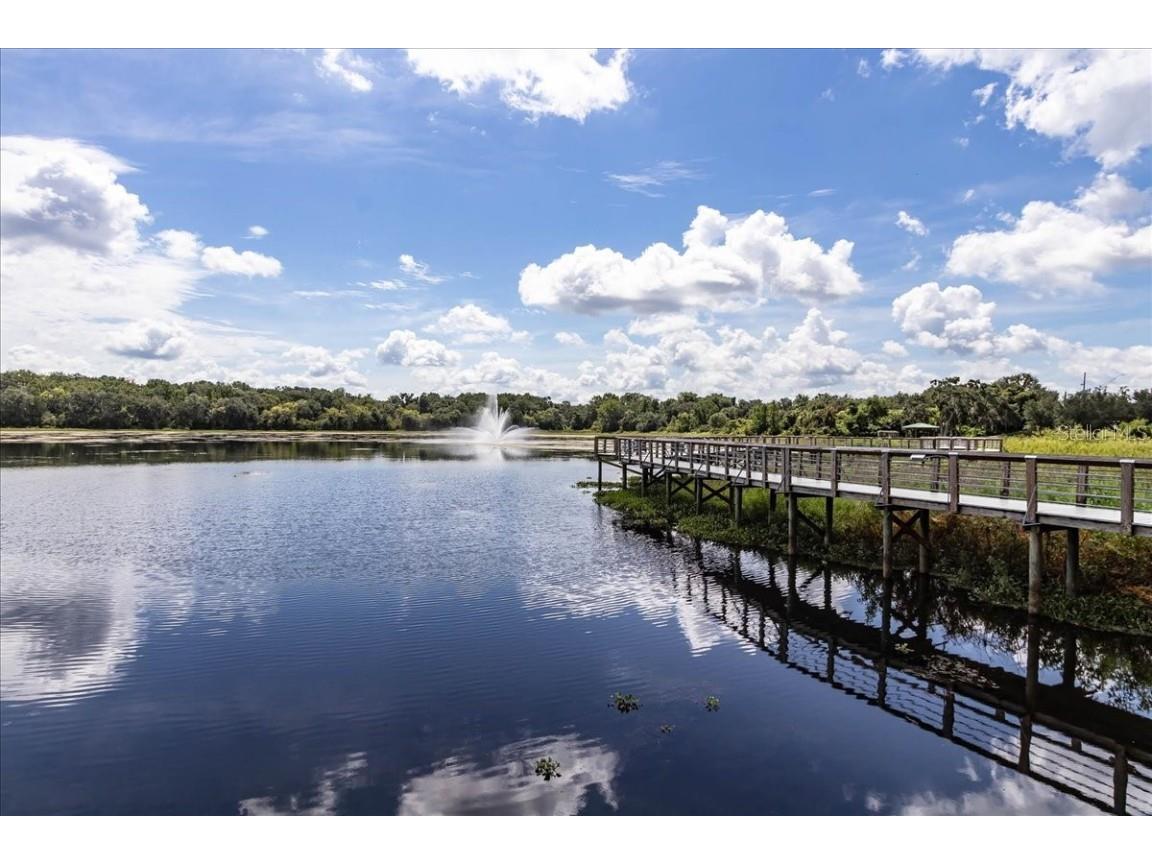 223 S Nesbitt Terrace Inverness FL 34450 - TSALA APOPKA CHAIN OF LAKES OM714065 image74