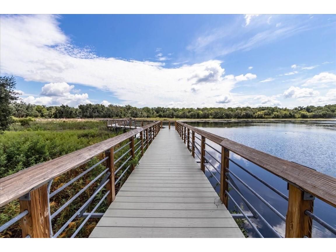 223 S Nesbitt Terrace Inverness FL 34450 - TSALA APOPKA CHAIN OF LAKES OM714065 image75