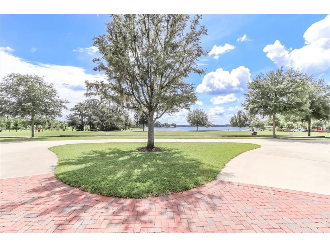 223 S Nesbitt Terrace Inverness FL 34450 - TSALA APOPKA CHAIN OF LAKES OM714065 image76