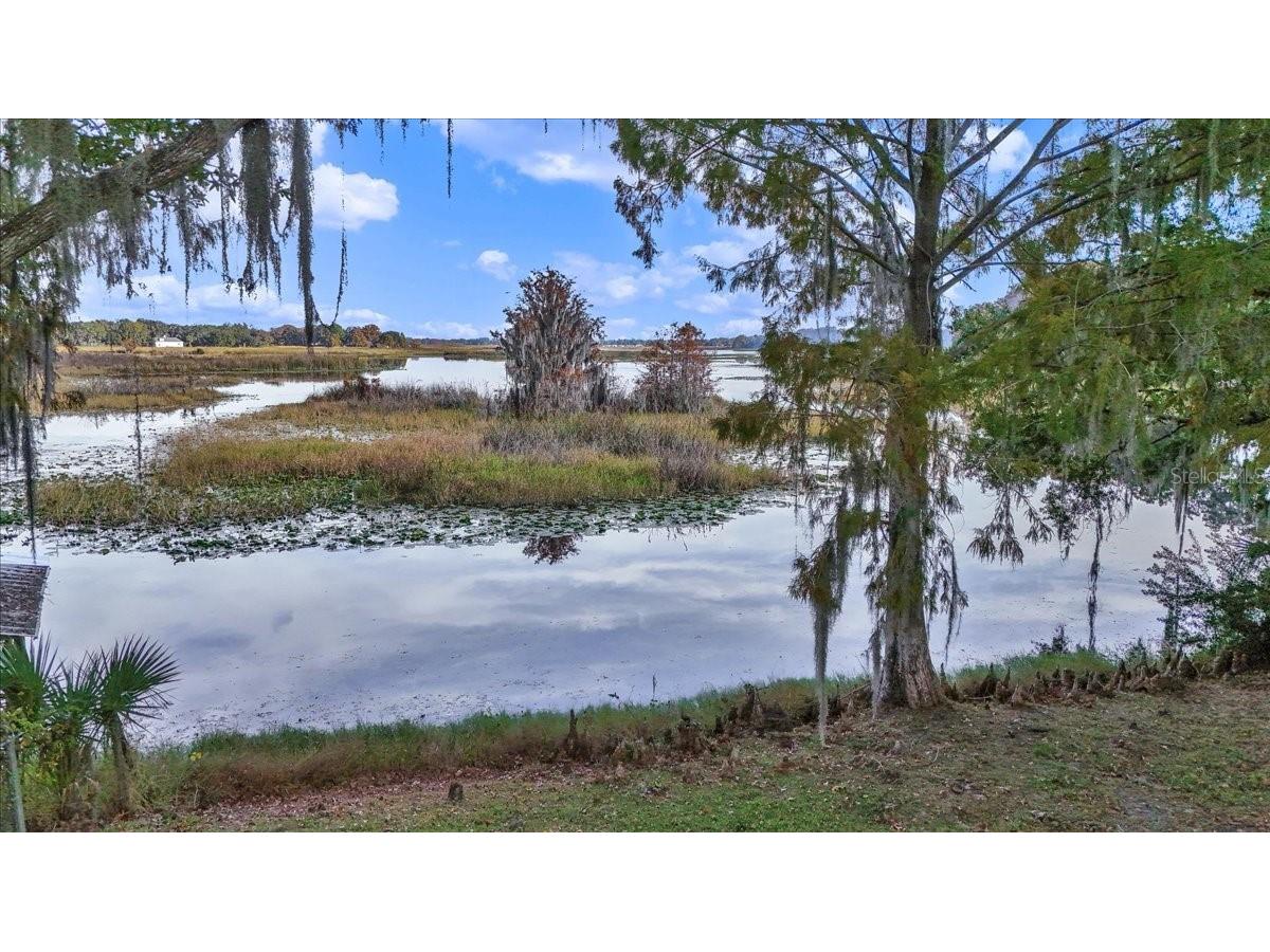 223 S Nesbitt Terrace Inverness FL 34450 - TSALA APOPKA CHAIN OF LAKES OM714065 image8
